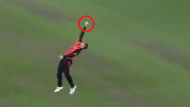 'Pulled it out of thin air': Renegades batter Mackenzie Harvey takes possible catch of BBL season