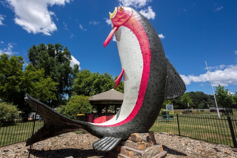 Adaminaby's Big Trout is restored to its former glory after local outcry over first 'hideous' revamp last year