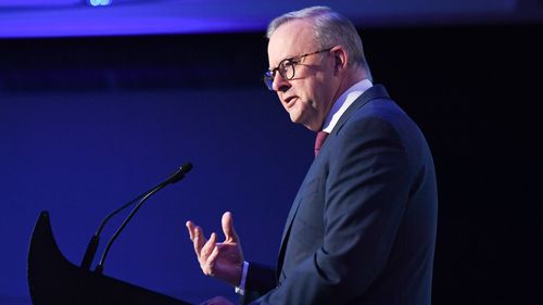 Anthony Albanese hints energy price cost-of-living relief will be included in federal budget