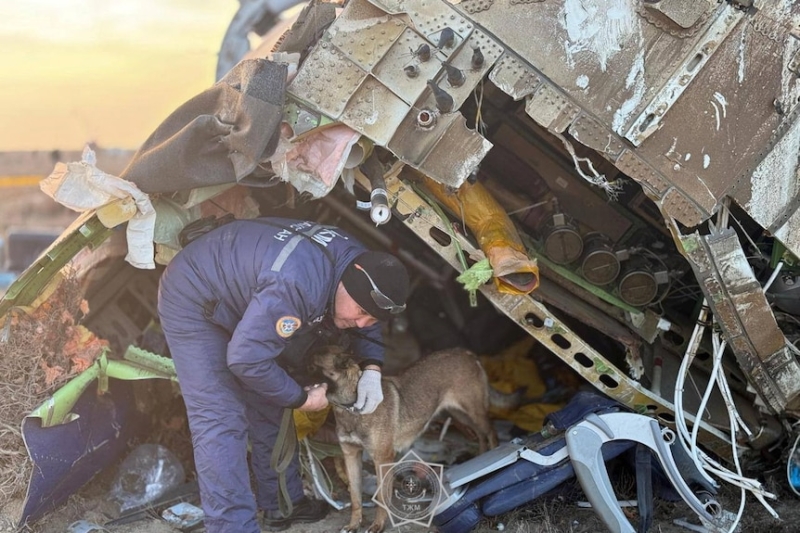 Azerbaijan Airlines says plane crashed 'due to physical and technical external interference'