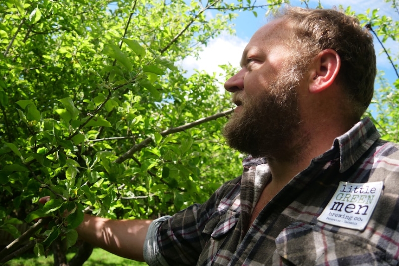 Beer brewers 'stoked' at community's donation of excess apples for their new Tasmanian cider-making venture