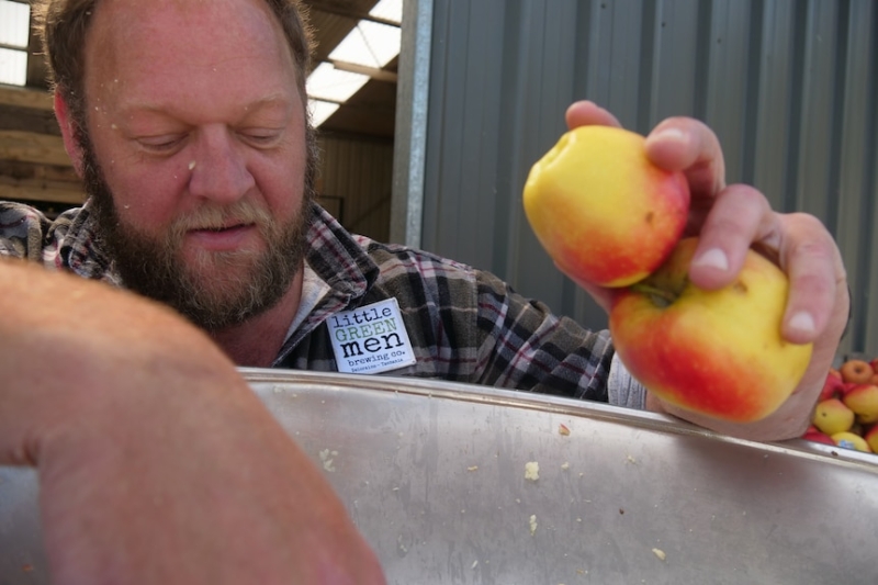 Beer brewers 'stoked' at community's donation of excess apples for their new Tasmanian cider-making venture