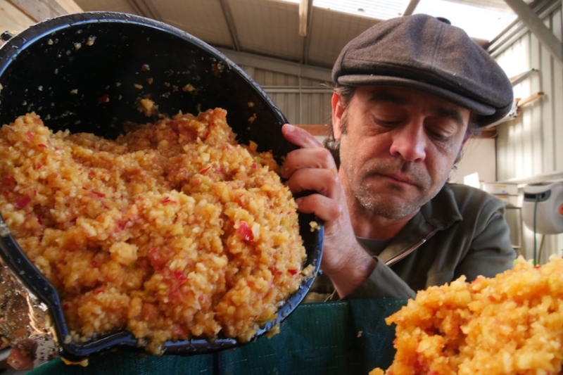 Beer brewers 'stoked' at community's donation of excess apples for their new Tasmanian cider-making venture