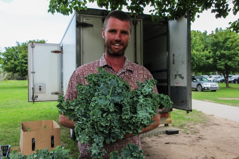 Food regulation changes threaten small NSW farmers, markets