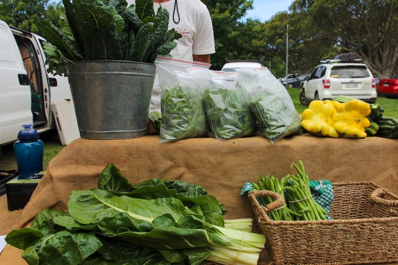 Food regulation changes threaten small NSW farmers, markets