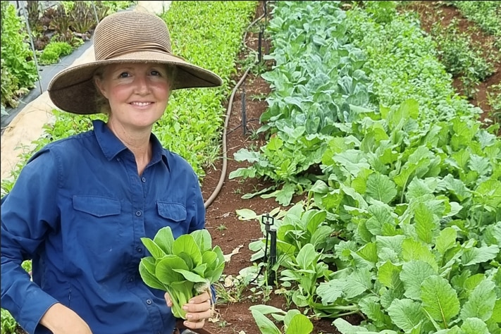 Food regulation changes threaten small NSW farmers, markets