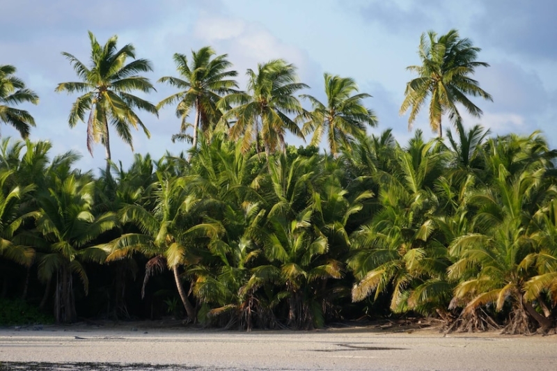 Fresh supplies for Cocos (Keeling) Islands as residents seek way forward for co-op