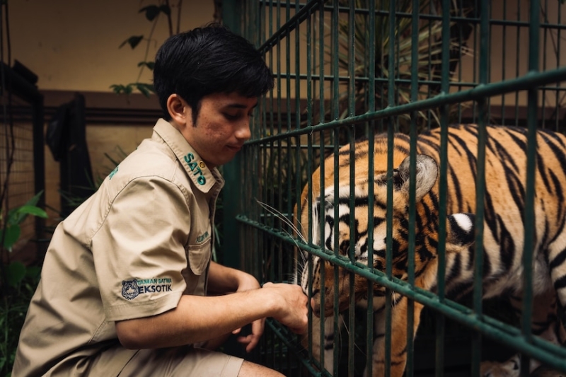 Indonesia's Tiger King Alshad Ahmad filling family garden with wildlife as he works towards building a zoo