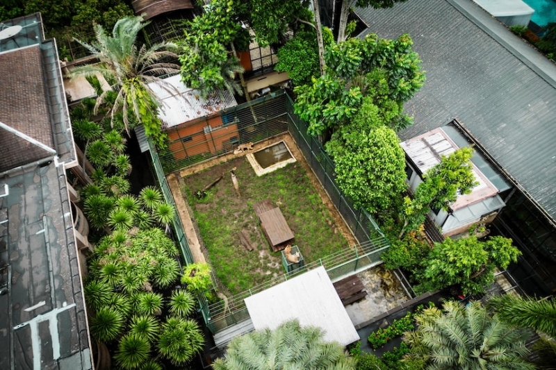 Indonesia's Tiger King Alshad Ahmad filling family garden with wildlife as he works towards building a zoo