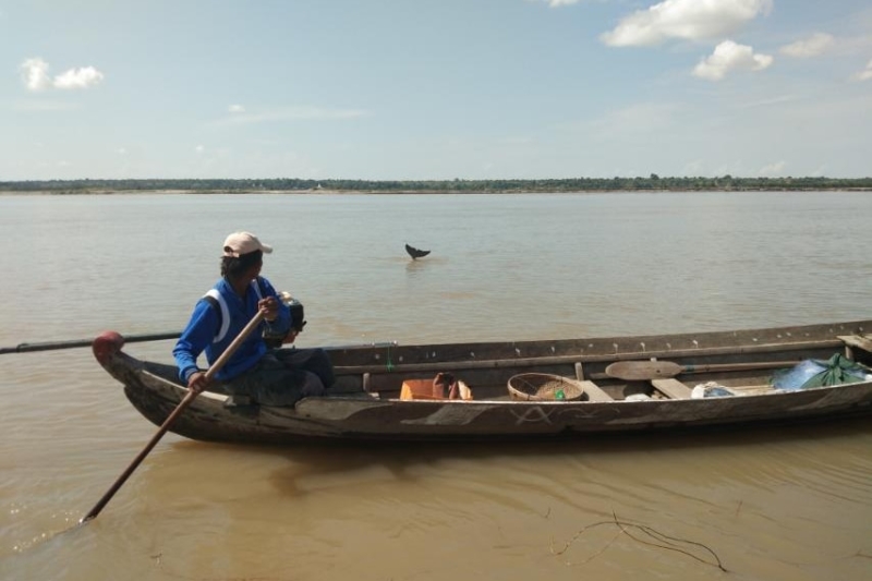 Myanmar fishermen and dolphins' rare partnership faces uncertain future