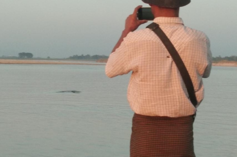 Myanmar fishermen and dolphins' rare partnership faces uncertain future