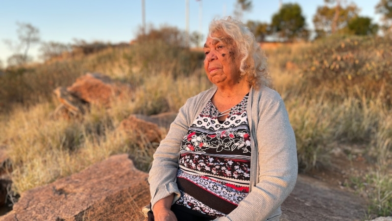 New Northern Territory government pledges to save Alice Springs' Anzac Oval, controversial art gallery work halted