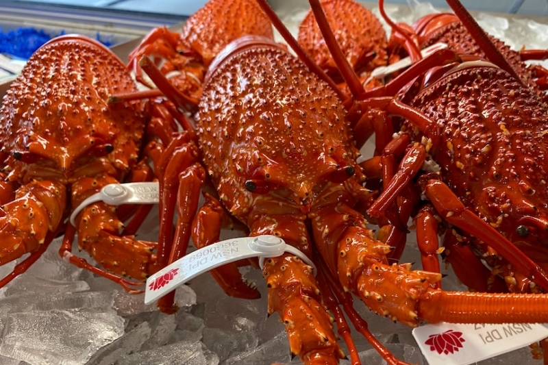 Australian lobster returns to Chinese menus for Lunar New Year after trade ban lifts