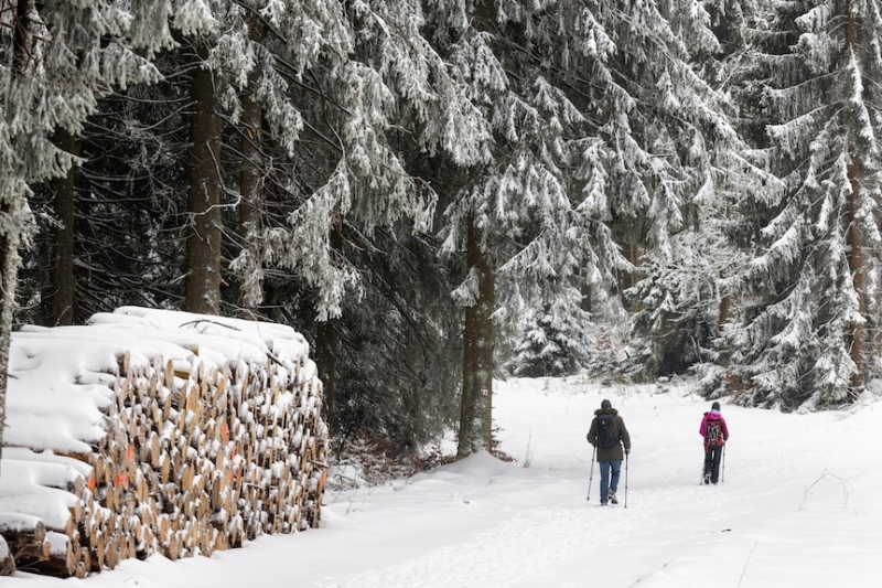 Heavy snow brings widespread disruption across the UK and Europe