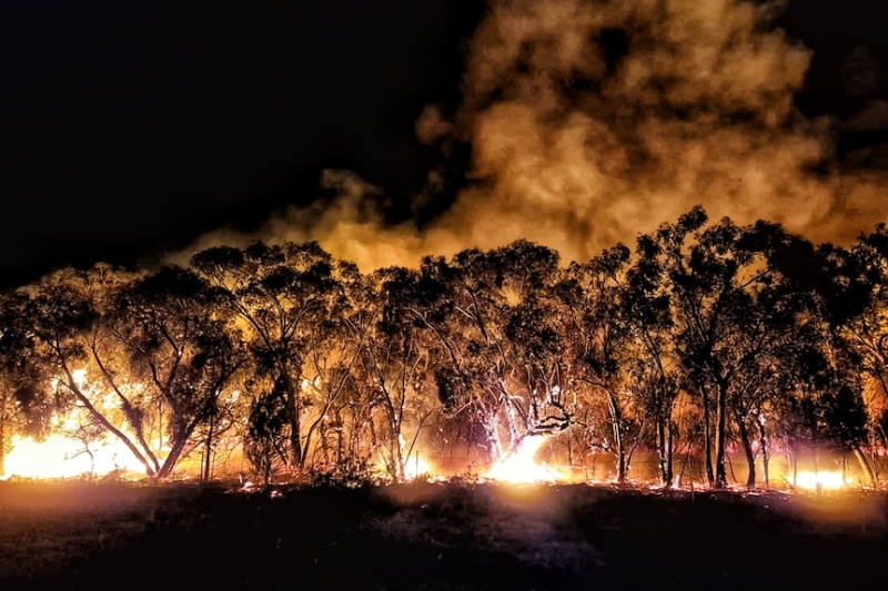 Insurers deny Halls Gap businesses bushfire coverage as threat increases