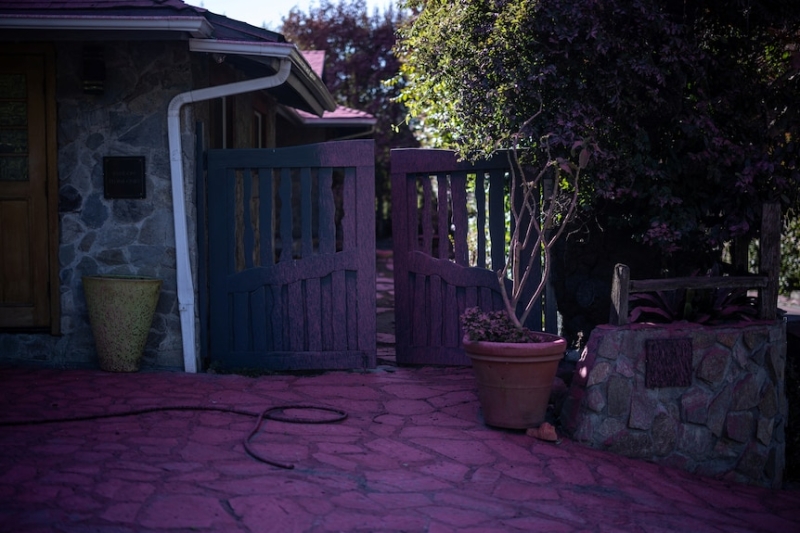 Los Angeles firefighters brace for return of Santa Ana winds as city bathed in hot pink flame retardant