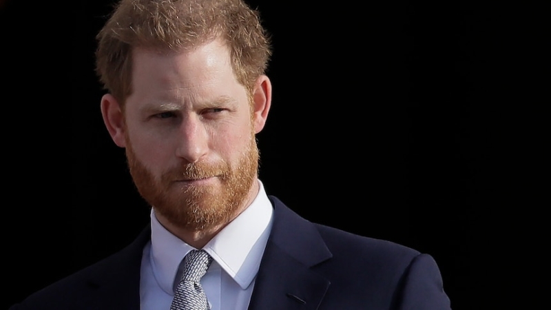 Prince Harry fought for an apology into the intrusion of Diana's privacy for years. He finally got one