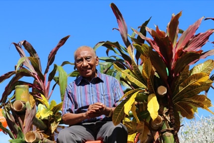 Sir Julius Chan, former Papua New Guinea PM and founding father, dies at 85