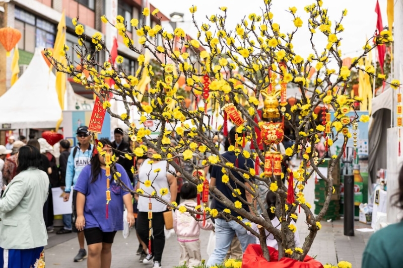 Where to celebrate Lunar New Year in Sydney, including the best free events across the city