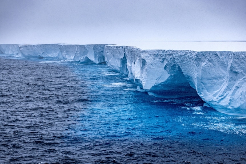 World's biggest iceberg A23a drifting towards penguin-packed island