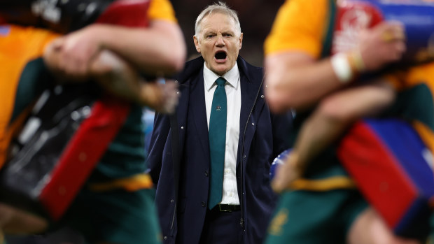 The five man race to be next Wallabies coach when Joe Schmidt signs off in October