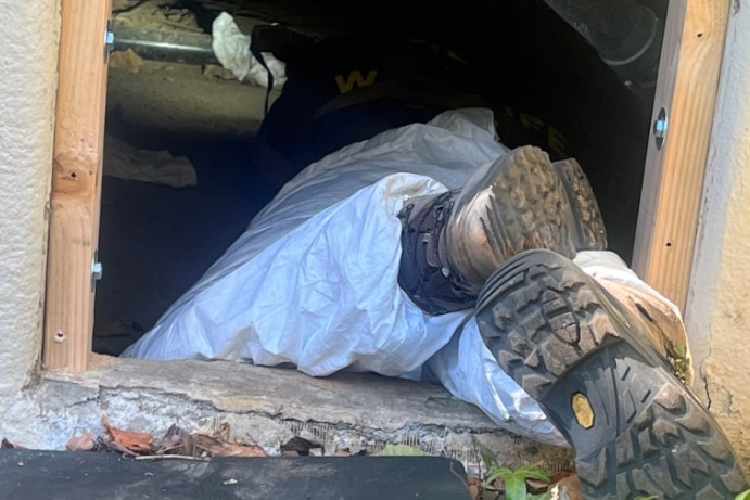 Berry the 238kg bear, who hid under a home to survive LA wildfires, is rescued