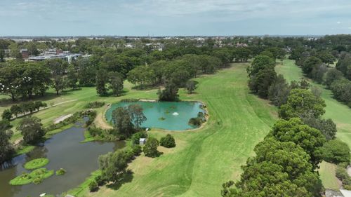 Sydney turf wars erupt as MP claims government is considering turning golf course into cemetery