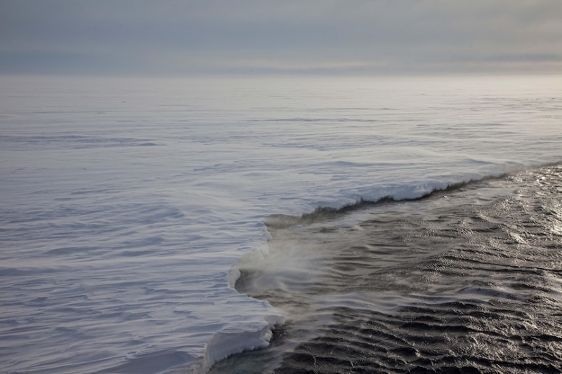 Antarctic sea ice falls to near-record low as study reveals 'structural change'