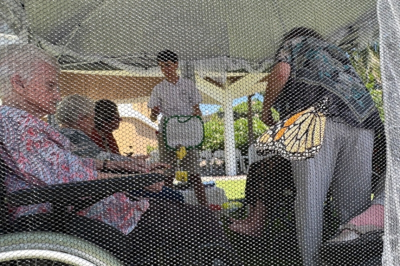 Portable butterfly enclosure brings joy to Shell Cove aged care