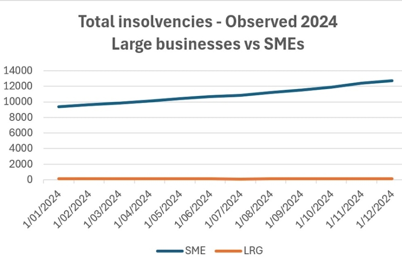 Small businesses brace for higher costs but hope for interest rate cuts