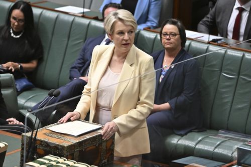 Unapologetic activist faces fate for 'liar' tag on Plibersek's office