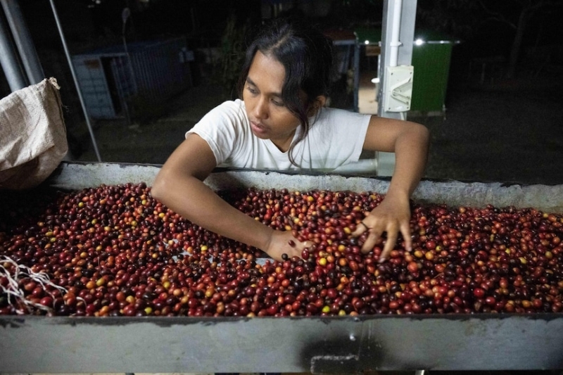 Why don't Australians source more coffee from the Asia-Pacific region?