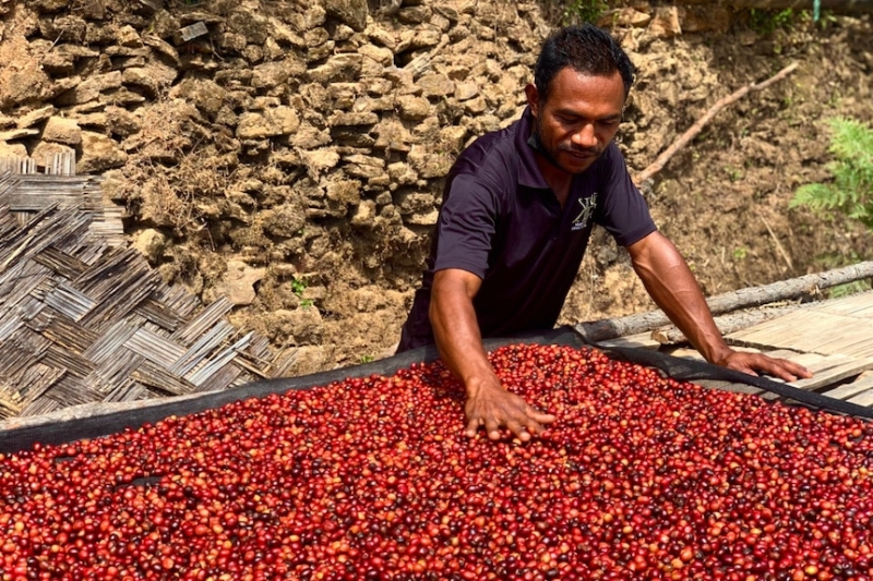 Why don't Australians source more coffee from the Asia-Pacific region?